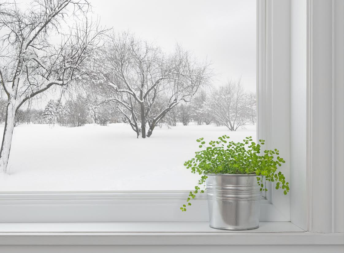 Image - www.bigstockphoto.com