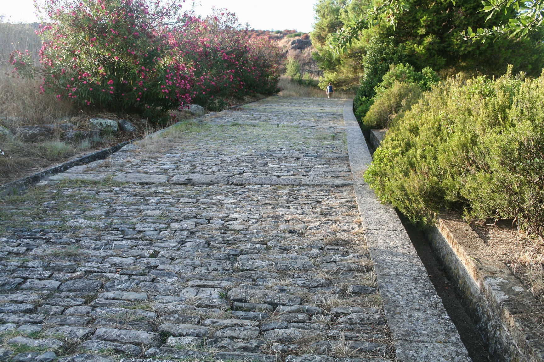 surface drainage